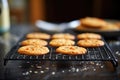 cookies cooling on wire rack, side view