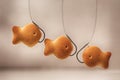 Cookies cracker in the form of fish on a fishhook and fishing line blurred light background close-up
