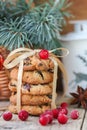 Cookies with cranberries. Christmas gifts. The rustic style Royalty Free Stock Photo