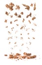 Cookies crumbs set isolated Royalty Free Stock Photo