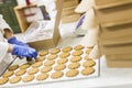 Cookies factory Royalty Free Stock Photo