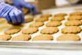 Cookies factory Royalty Free Stock Photo