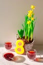 Cookies in the form of a figure eight for the holiday of spring with tea against the background of yellow daffodils in Royalty Free Stock Photo