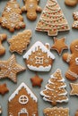 Winter holiday pattern-a set of gingerbread, the layout of the pattern. cookies in the form of a house, a christmas tree, a person Royalty Free Stock Photo