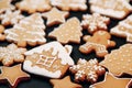 Winter holiday pattern-a set of gingerbread, the layout of the pattern on a dark background. cookies in the form of a house, a Royalty Free Stock Photo