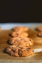 Cookies fresh from the oven. Homemade Cookies fresh from the oven