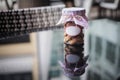 Cookies inside jar with white blank label Royalty Free Stock Photo