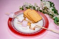 Cookies and marshmallows on skewers fried on a fire on plate Royalty Free Stock Photo