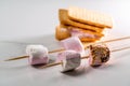 Cookies and marshmallows on skewers fried on a fire on white background Royalty Free Stock Photo