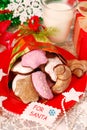 Cookies and milk for santa Royalty Free Stock Photo
