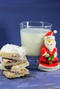 Cookies and milk for Santa Claus Royalty Free Stock Photo