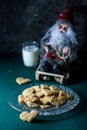 Cookies and Milk for Santa Claus