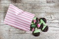 Cookies with mint and dark chocolate in a cookie bag Royalty Free Stock Photo