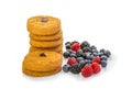 Cookies with mixed berries Royalty Free Stock Photo