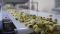 Cookies production line at a food factory Royalty Free Stock Photo