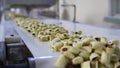 Cookies production line at a food factory Royalty Free Stock Photo
