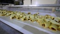 Cookies production line at a food factory Royalty Free Stock Photo