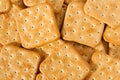 Cookies, Saltine cracker Royalty Free Stock Photo