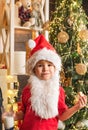 Cookies for Santa Claus child. Santa Claus holding Christmas cookies and milk against Christmas tree background. Santa Royalty Free Stock Photo