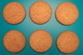 Cookies studio image. Homemade tasty cookies. Background of cookies.