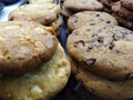 Cookies, Variety of Warm, Freshly Baked Cookies