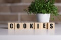 Cookies word on wooden blocks in area with green plants.