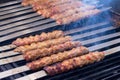 Cooking Adana Lamb Kebabs on the Restaurant Style Grill