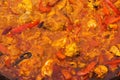 Cooking authentic Spanish Valencian paella with seafood mussels meat vegetables rice in spices sizzling on large skillet pan