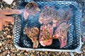 Cooking barbecue on beach Royalty Free Stock Photo