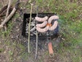 Fresh juicy shish sausages fried on coals on a barbecue grid in forest, in nature. Royalty Free Stock Photo