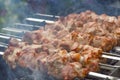 Cooking barbecue, grilled meat barbecue. Cooking pork shashlik on metal skewers. Smoke from embers builds up over the Royalty Free Stock Photo