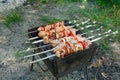 Cooking barbecue with vegetables on skewers. Roasted meat on the grill