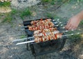 Cooking barbecue with vegetables on skewers. Roasted meat on the grill