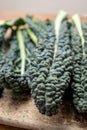 Cooking with black flat leaves of cavolo nero tuscan cabbage Royalty Free Stock Photo