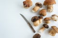 Cooking Boletus edible mushrooms, white background, space for text Royalty Free Stock Photo