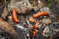 Cooking bratwurst sausage over an open fire Royalty Free Stock Photo