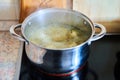 Cooking broth in a saucepan on a glass-ceramic plate Royalty Free Stock Photo