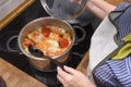 Cooking cabbage rolls in a pot at home Royalty Free Stock Photo