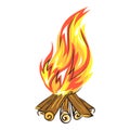 Cooking campfire icon, cartoon style