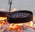 Cooking chestnuts on burning coals