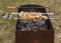 cooking chicken kebabs on a barbecue on a country plot, the concept of a weekend and a country holiday