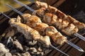 cooking chicken kebabs on a barbecue on a country plot, the concept of a weekend and a country holiday