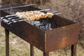 cooking chicken kebabs on a barbecue on a country plot, the concept of a weekend and a country holiday