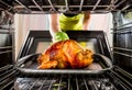 Cooking chicken in the oven at home. Royalty Free Stock Photo