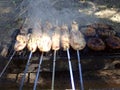 Cooking chicken pieces on skewers and kebabs Royalty Free Stock Photo