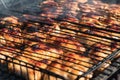 Cooking chicken wings on barbecue coals. Selective Focus. Backyard cooking concept Royalty Free Stock Photo