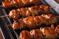 Cooking chicken yakitori of grilled. closeup horizontal