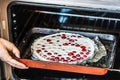 Cooking clafoutis. Cherry French Cake Royalty Free Stock Photo