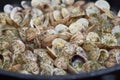 Cooking clams in the pan