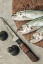 Cooking concept illustrated by raw fish with knife, salt and pepper Royalty Free Stock Photo